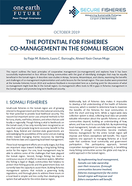 co-management fisheries somalia