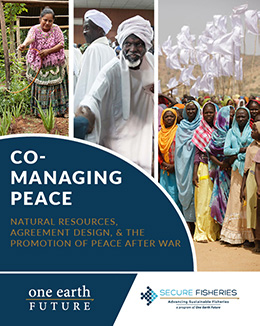 co-managing peace thumbnail