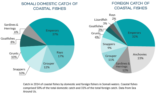 Coastal Fishes Charts