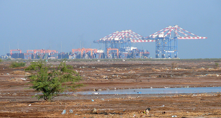 Coral reefs, mangroves, and seagrasses