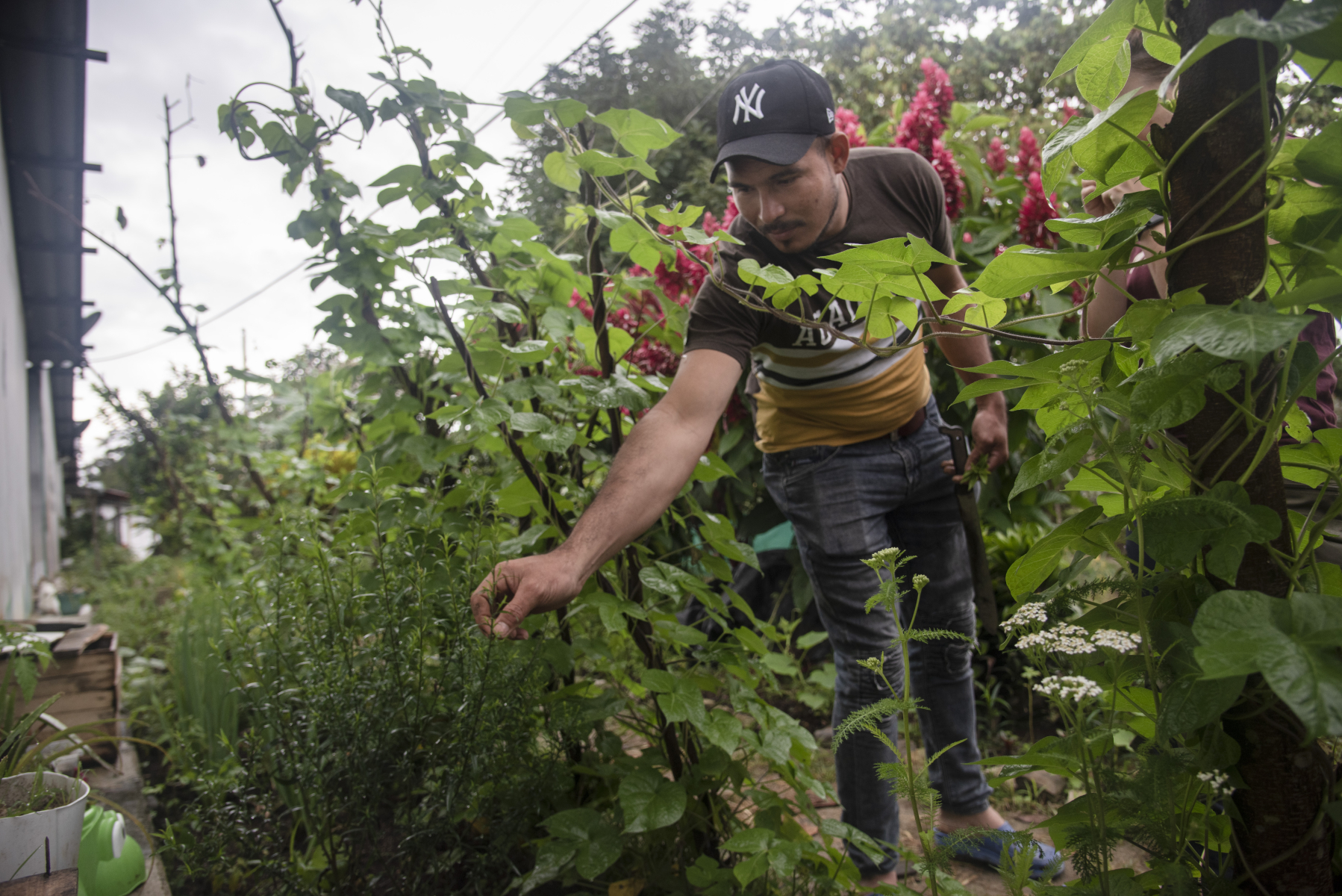 Steven in the home garden he has built with his family