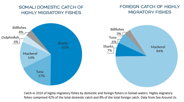 Highly Migratory Fishes Chart