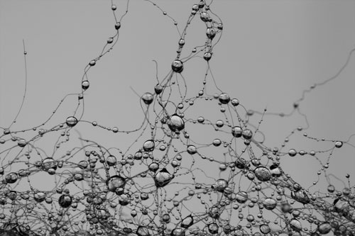 drops, networks