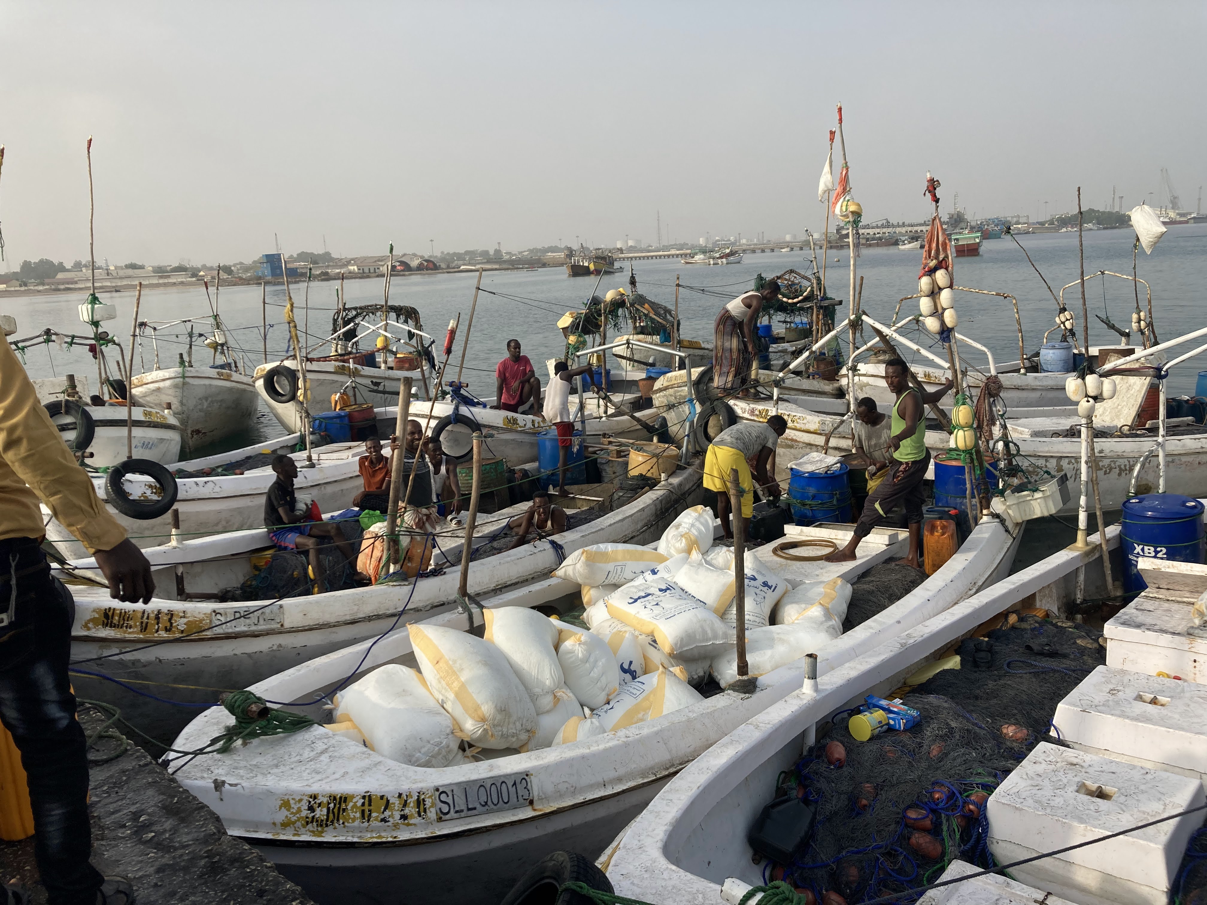 Fish data collection at port