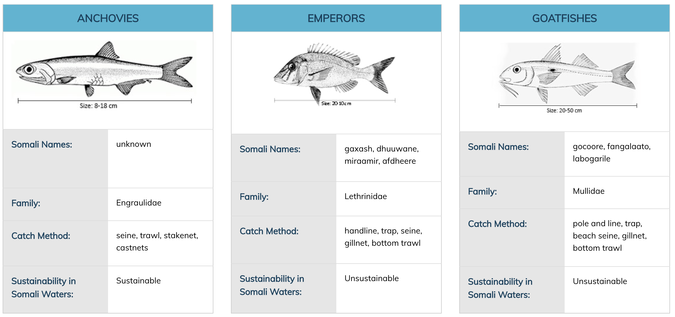 Coastal Fishes