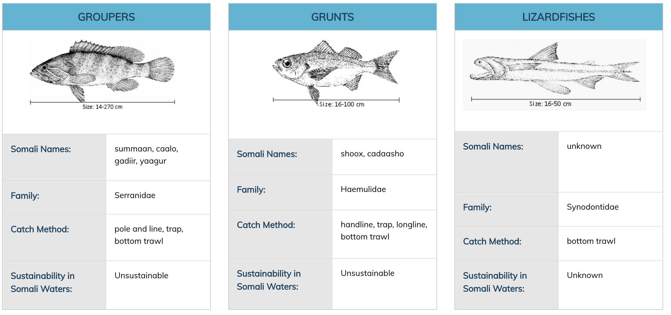 Coastal Fishes