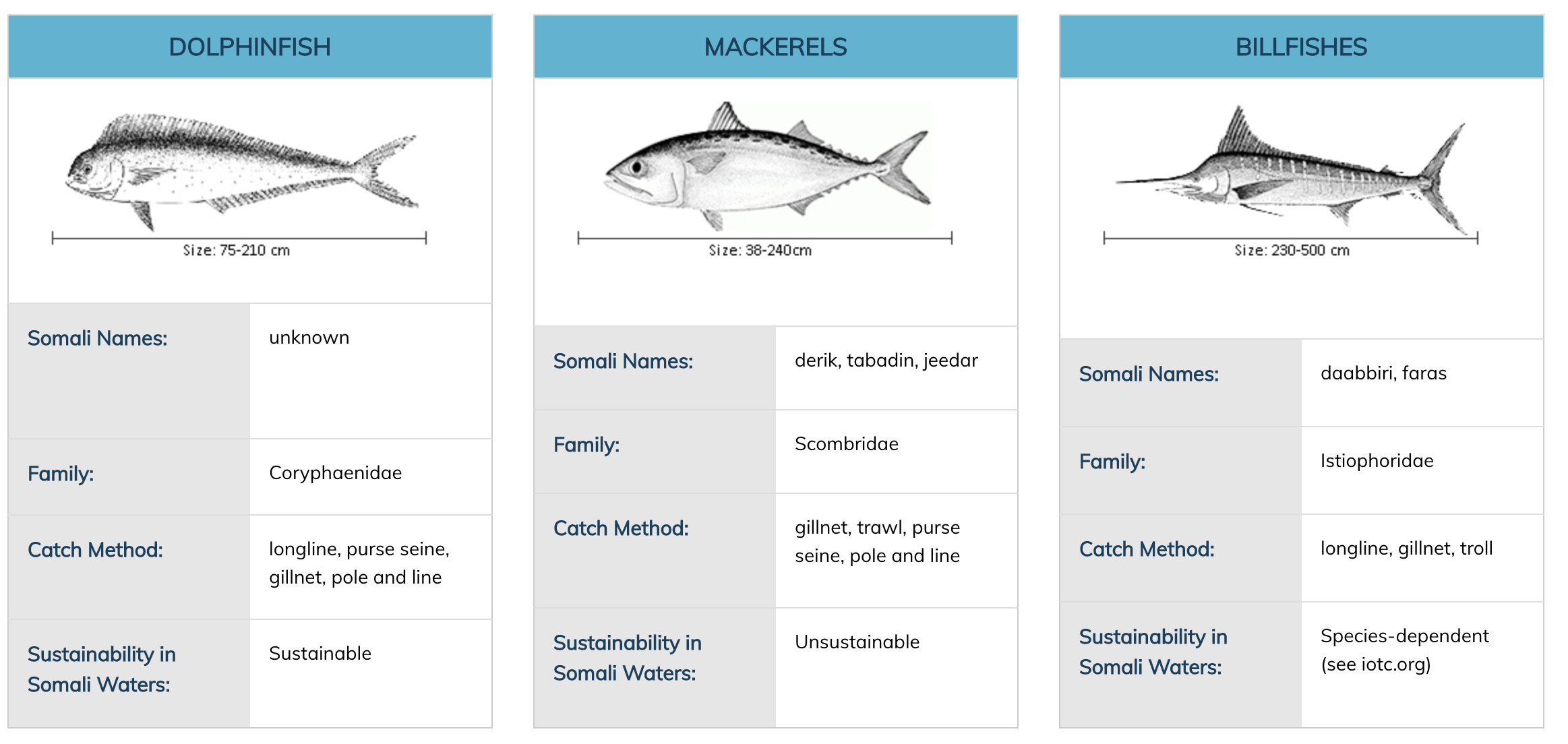 Highly migratory fish