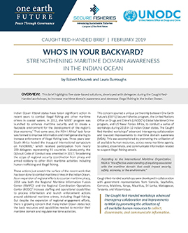 Maritime domain awareness brief cover