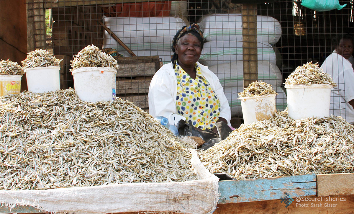 woman selling dagaa at market