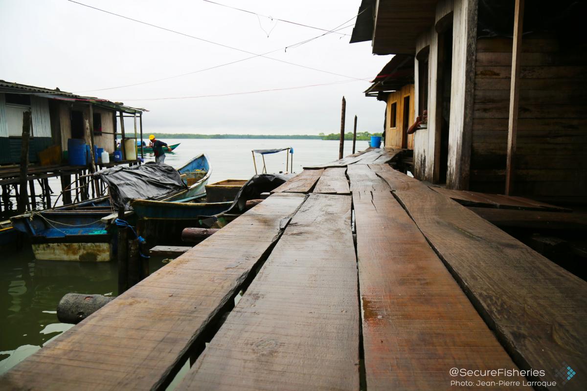 Boardwalked community. - Photo by Jean-Pierre Larroque