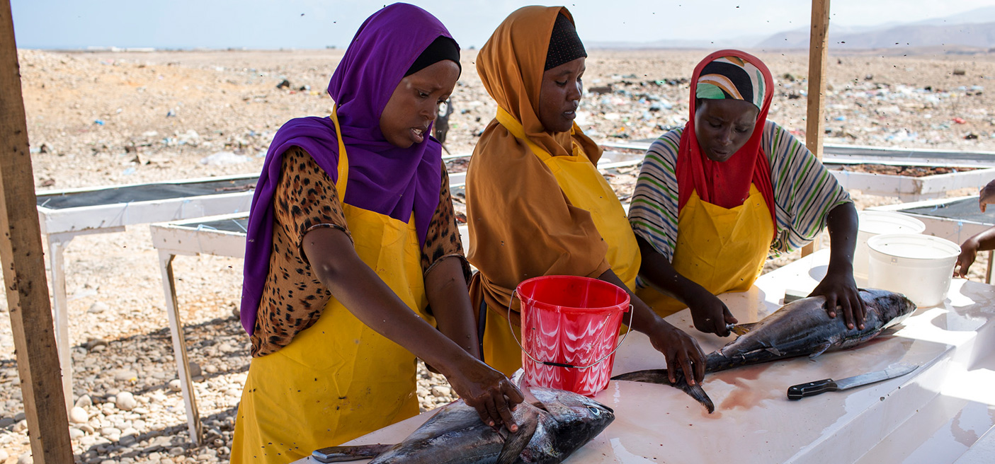 women small fisheries somalia conference