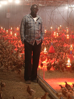 Somali Chicken Farm