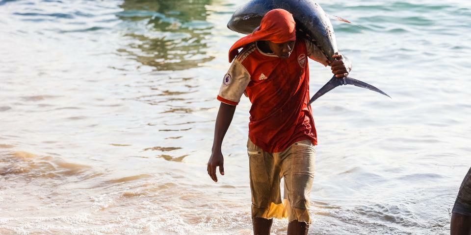 Fishing being Loaded at Urubo Beach Mogadishu