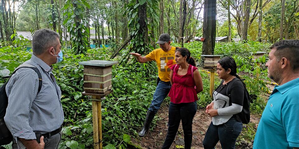 Students in front of a bee hive