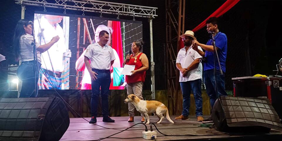 Photo_2_web_Recognition_Flower