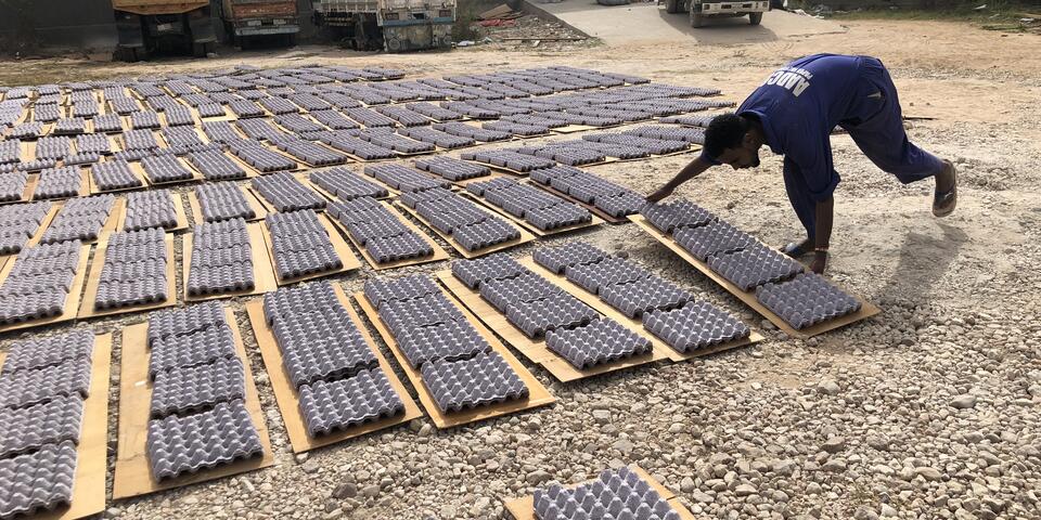 AADCO employee laying freshly made egg crates outside to dry in the sun