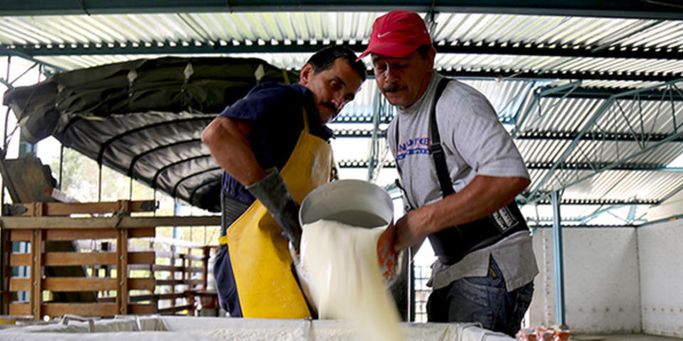 Dairy in Colombia