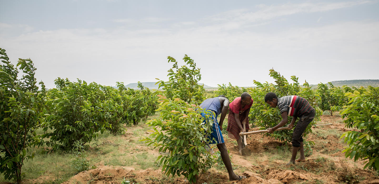 Entreprenuers in farm