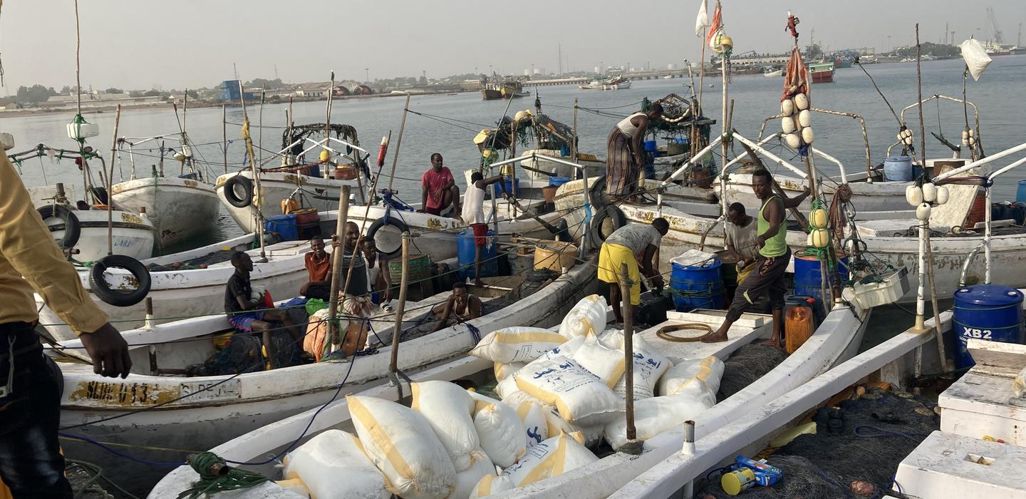 Data collection at one of the ports 