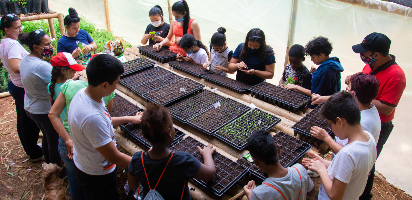 Sorting through plants 