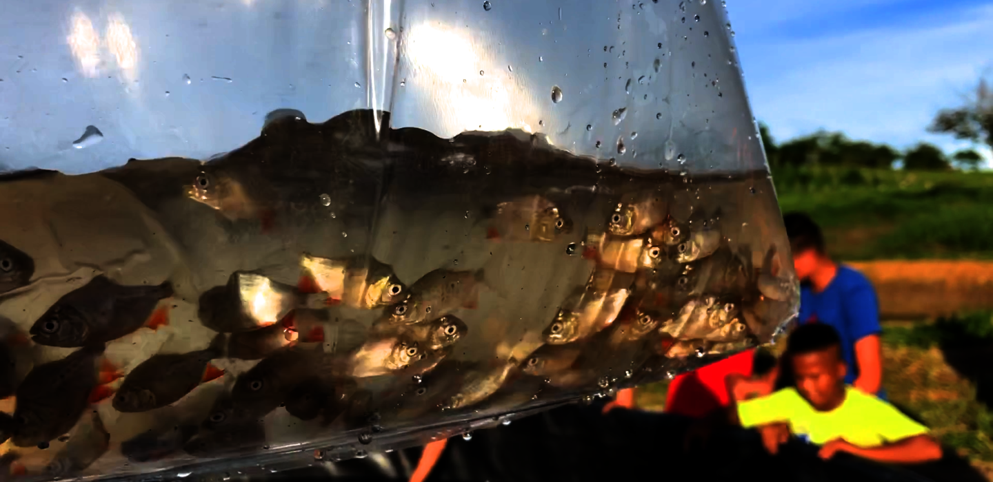 Peces Guaviare ERA