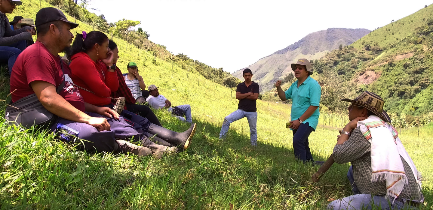 Campesino detail ituango