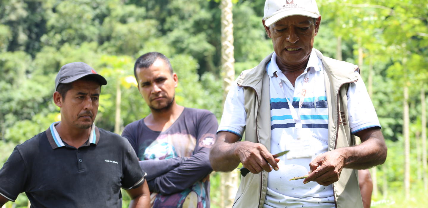 Taller cacao ERA Dabeiba