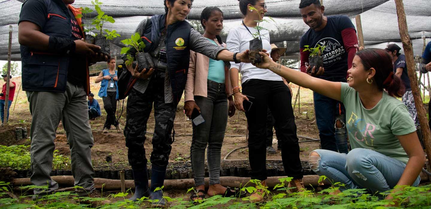 Network-Peace-Catatumbo-5