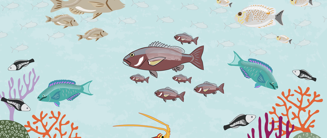 Illustrated fish