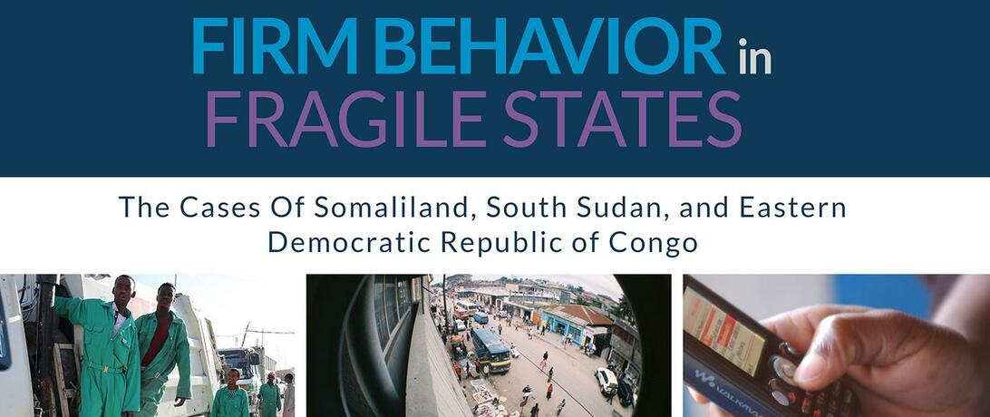 Business in Fragile States