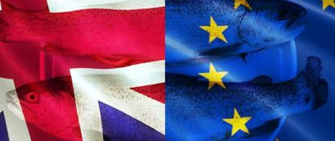 Trick or Treat: Brexit Is A Halloween Horror Story For Europe's Fisheries