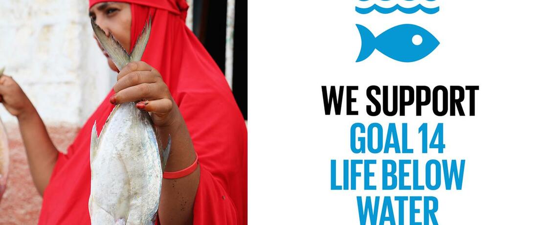 life_below_water_secure_fisheries-2