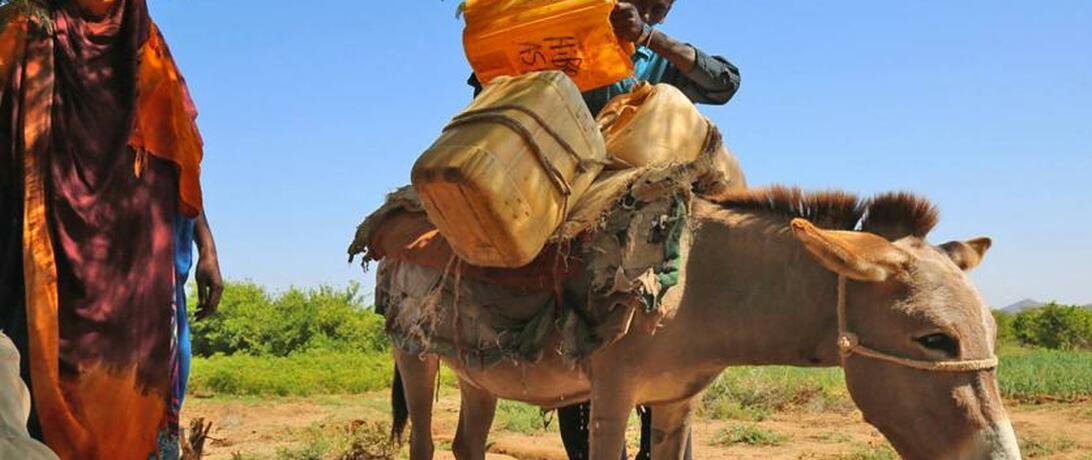 Norfund Somalia Aid