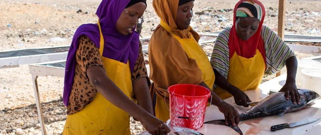 Somali stakeholders from fishing businesses