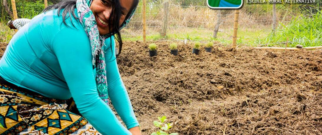 Sustainable peace through collaboration