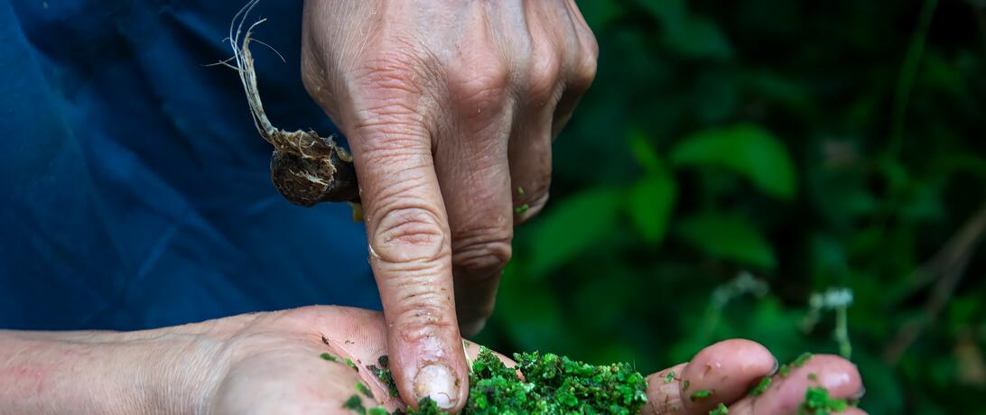 Herbs Agroecological Tour