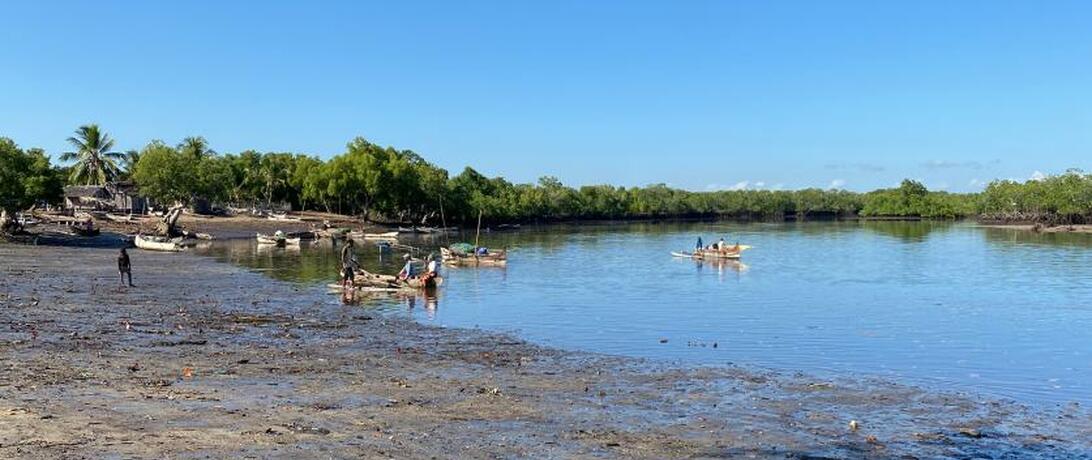 Madagascar Mangroves