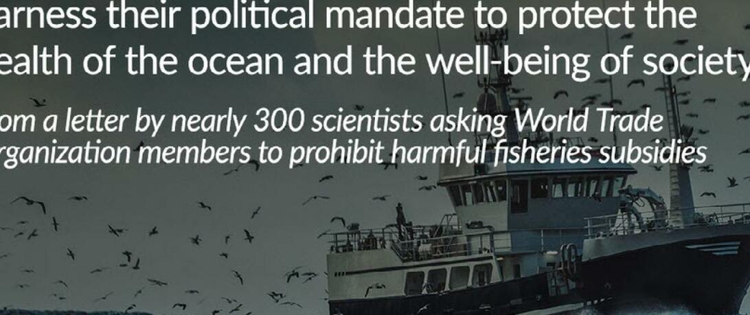 Subsidies for distant water fishing fleets lead to overfishing say 296 scientists. IUU Fishing. Stop funding overfishing.