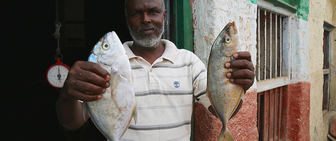 Somalia Sustainable Fisheries