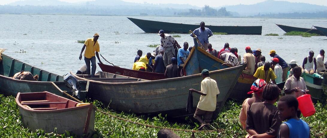 Ugandan fishing boats