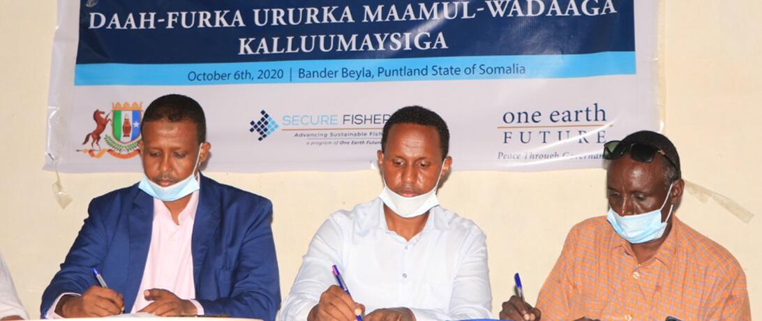 Bander Co-Management Image