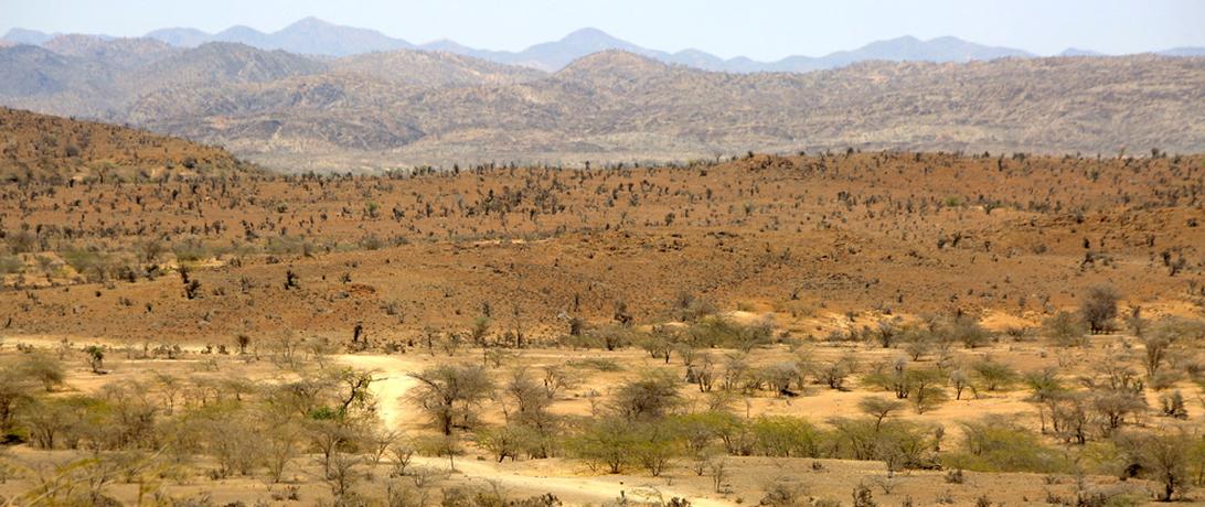 Barwaaqo farm Somalia