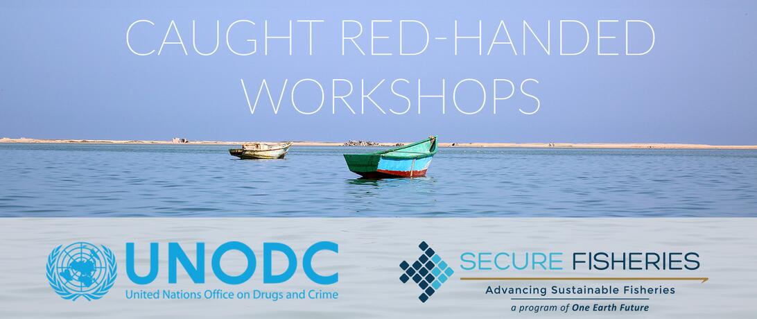 Caught red handed workshops