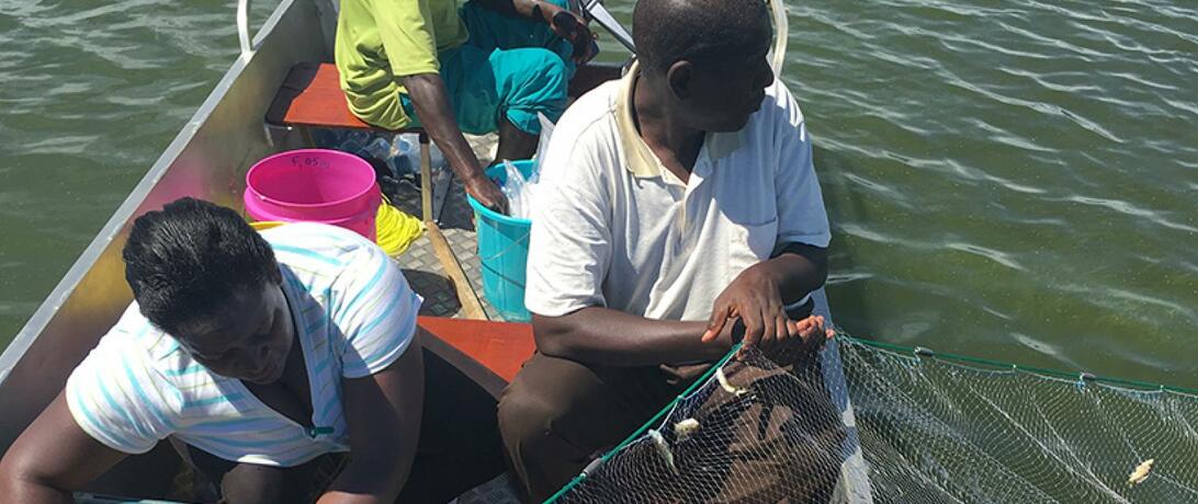 Fish study lake victoria