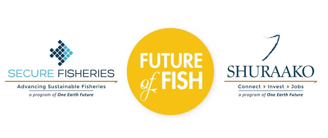 Future of fish mou image