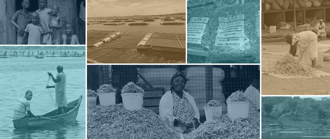 collage Lake Victoria and murkene