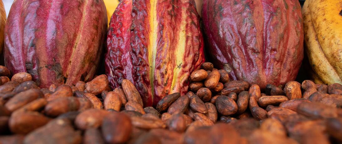 Convotatoria abierta: 