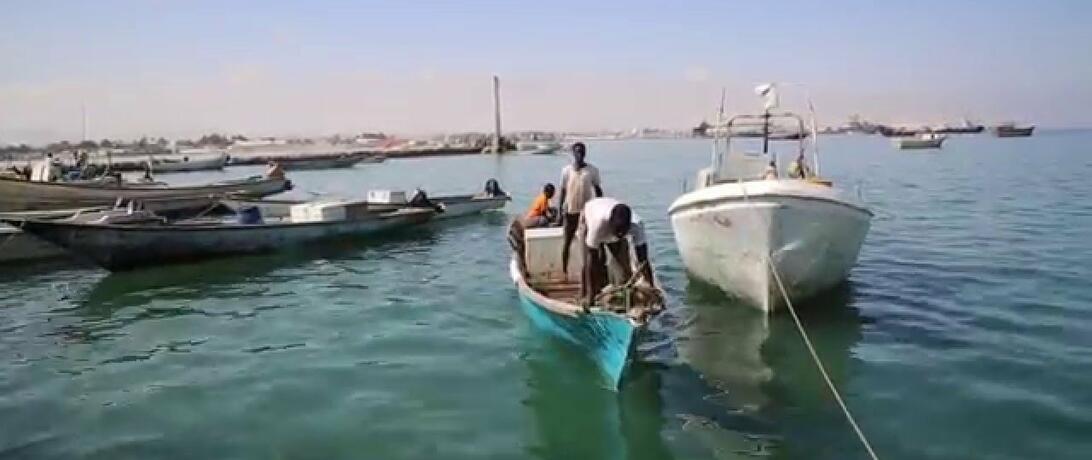 Somali Fishing