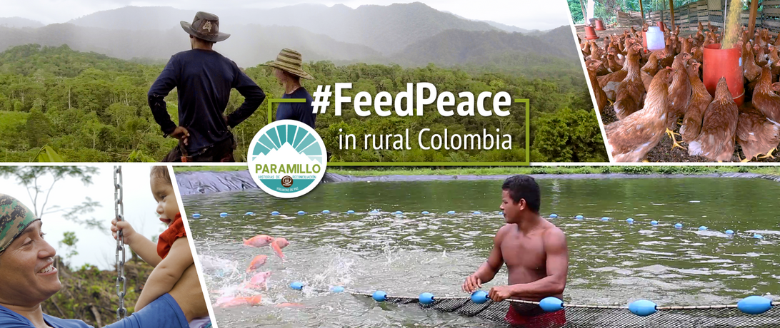 feed peace
