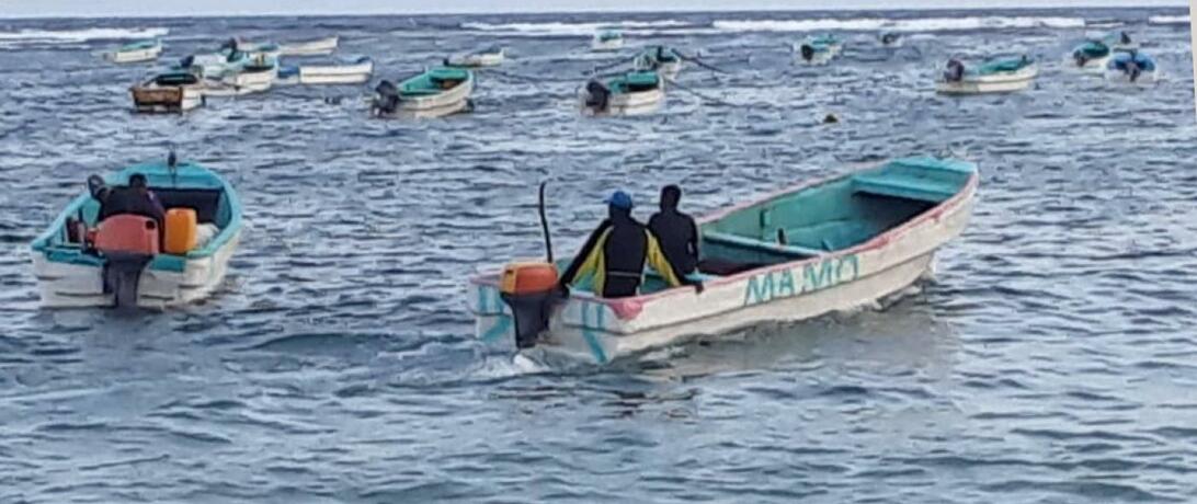 Somali fisheries future 